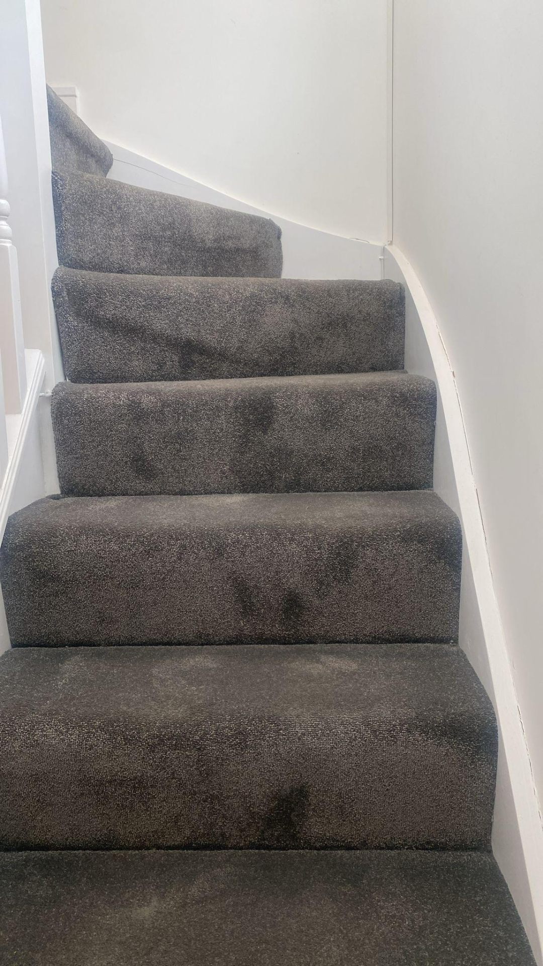Hughenden Gardens carpeted staircase